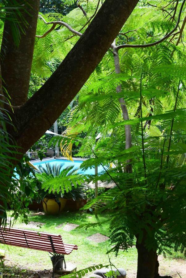 Ecolokay Apartment La Trinite Bagian luar foto
